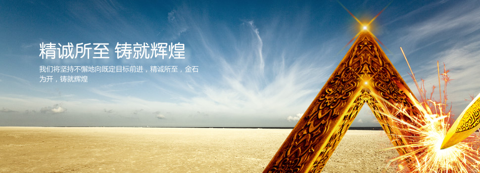 公司优势(图1)