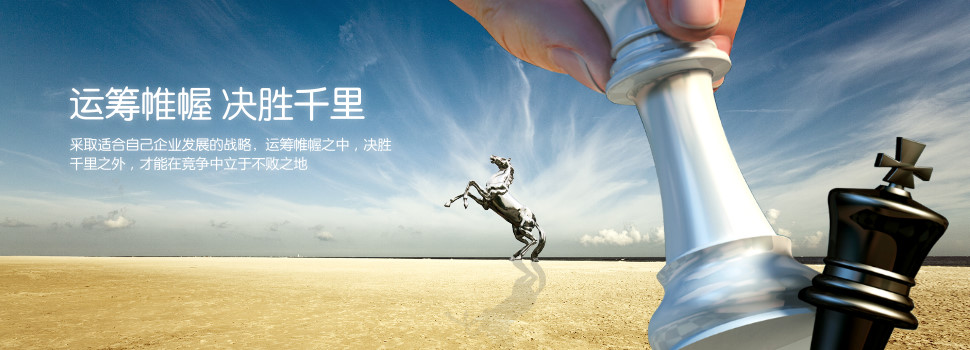公司优势(图2)