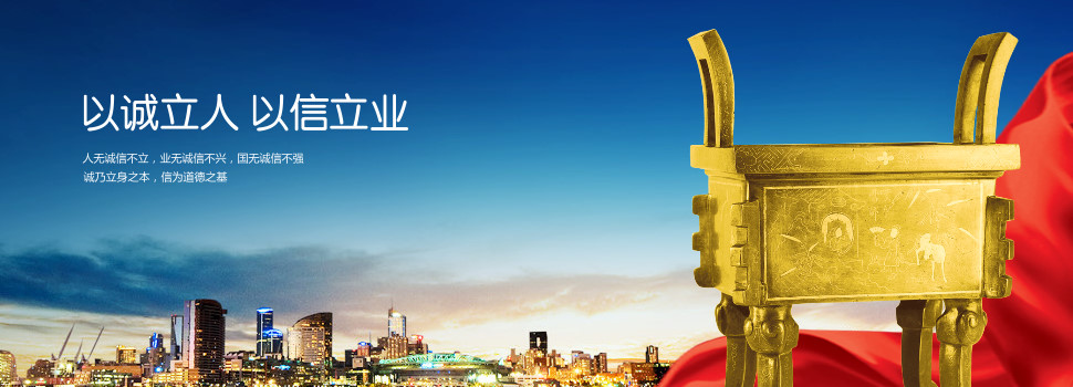 公司优势(图4)