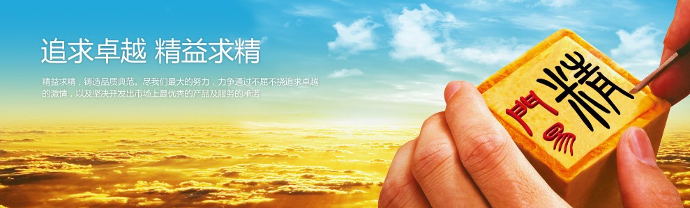 公司优势(图3)